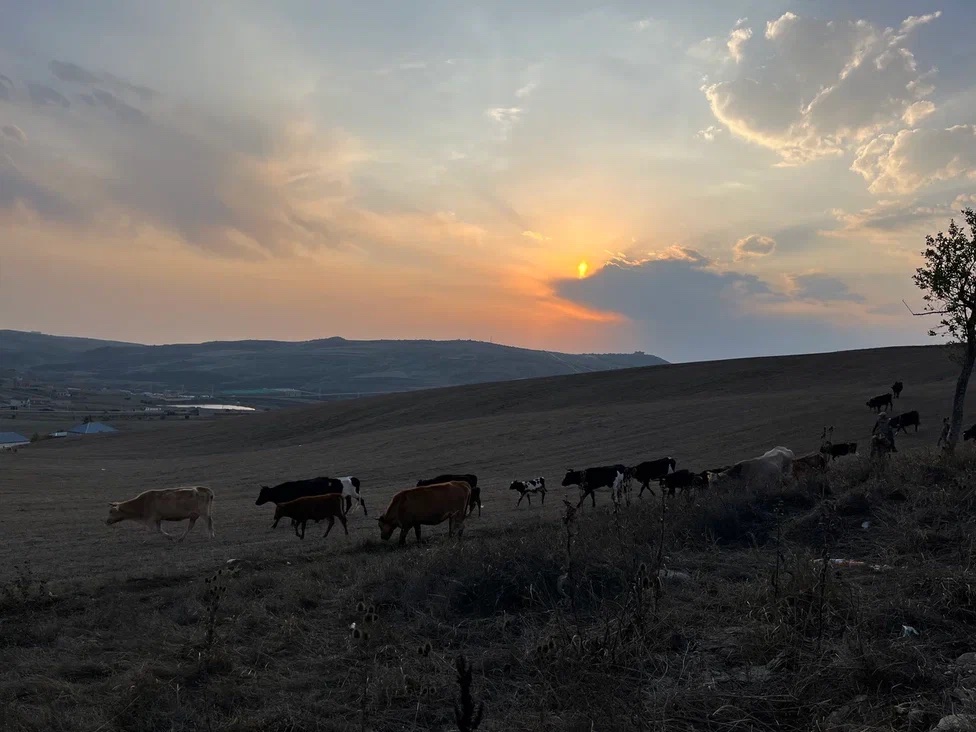 villages in the Caucasus photo and video.Azerbaijan, Shamakhi region