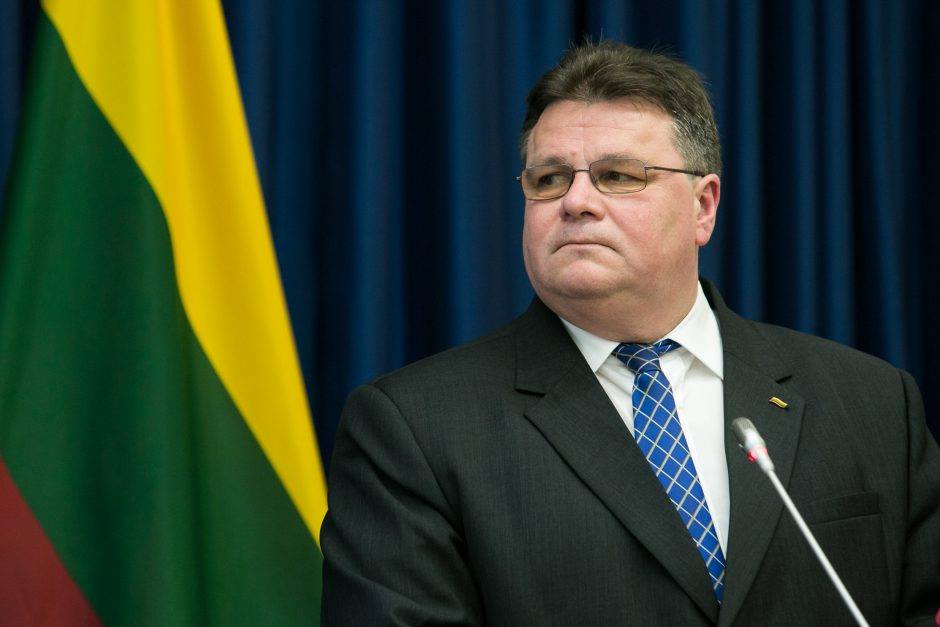 Бывший министр иностранных дел Литвы Линас Линкевичус: