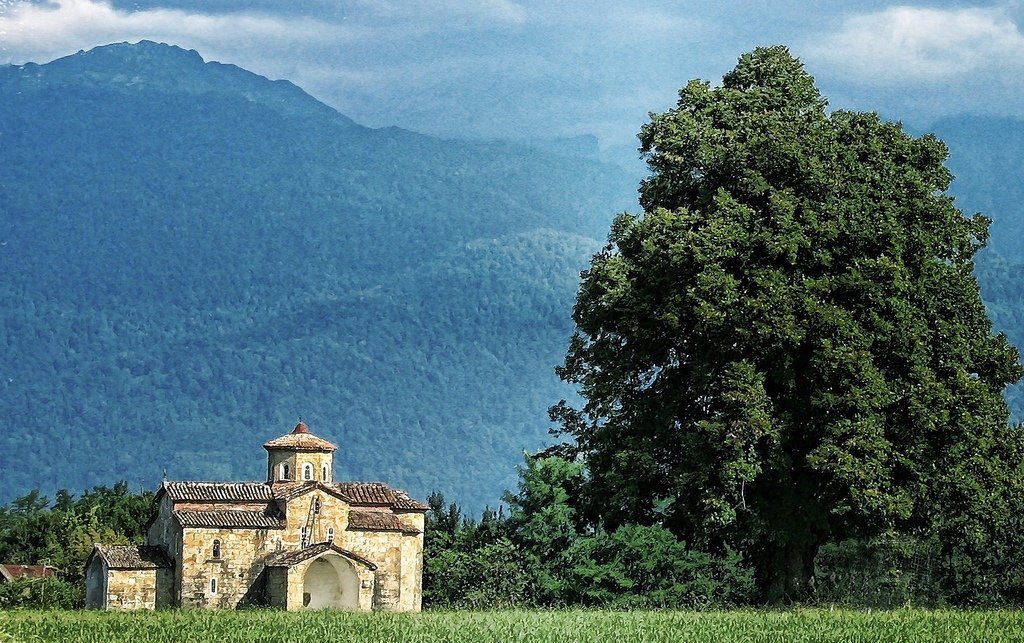 A 200-year-old linden tree in Abkhazia vandalized. It is being considered its spiritual symbol. It is unlikely that the tree will be saved