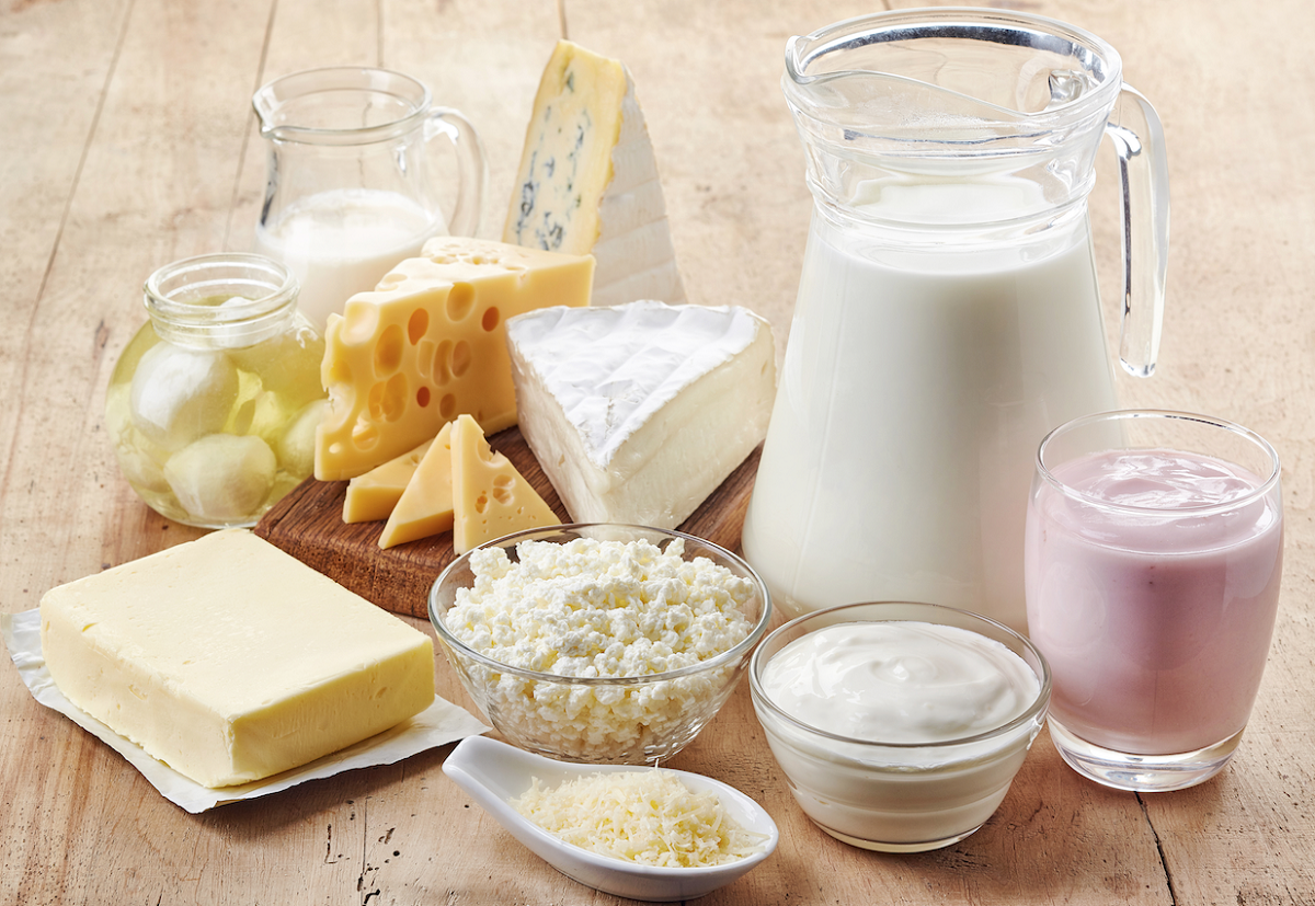 Export of dairy products to Russia