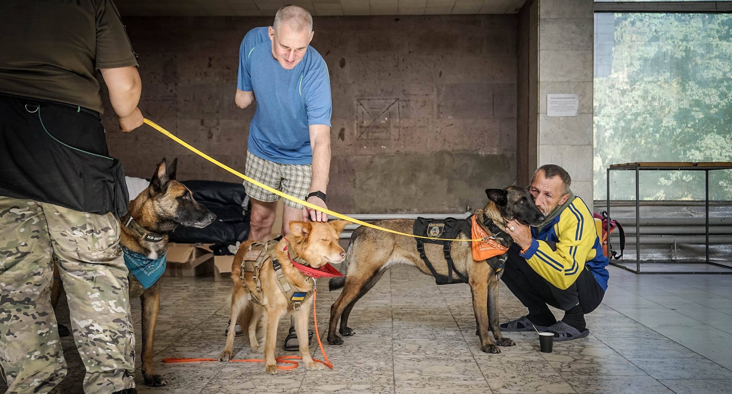Как собаки лечат украинских военных