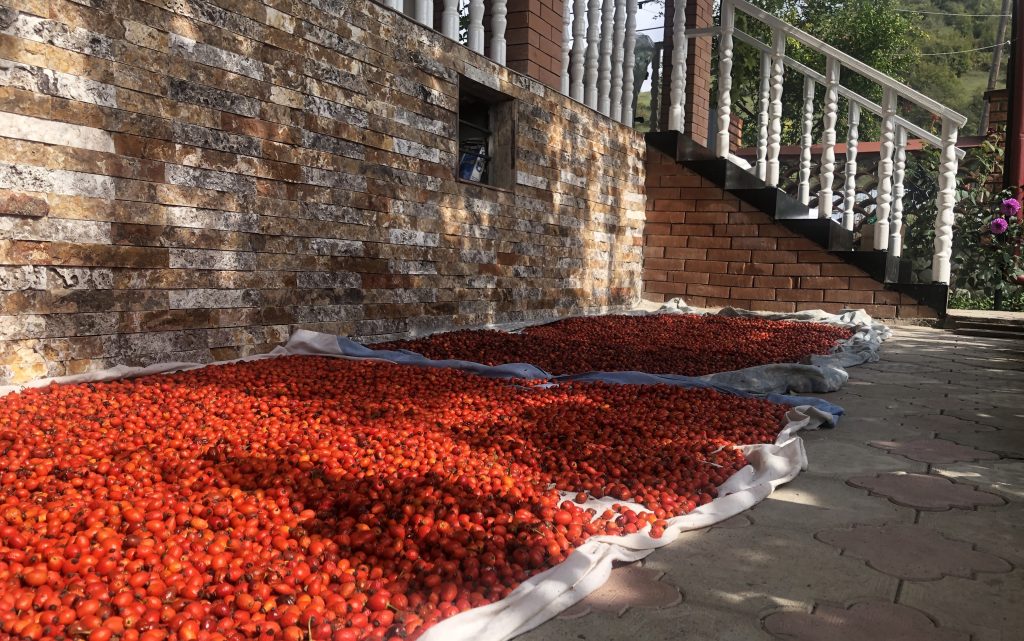 The yard of Shengeli Tokhosashvili. Pankisi, Omalo village. Photo: Natalia Nemsadze/JAMnews
