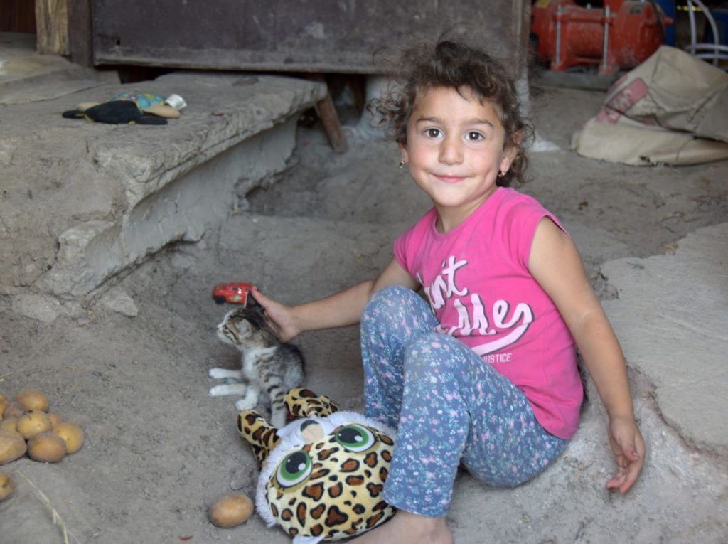 Granddaughter Mariné plays with a kitten. Photo: JAMnews