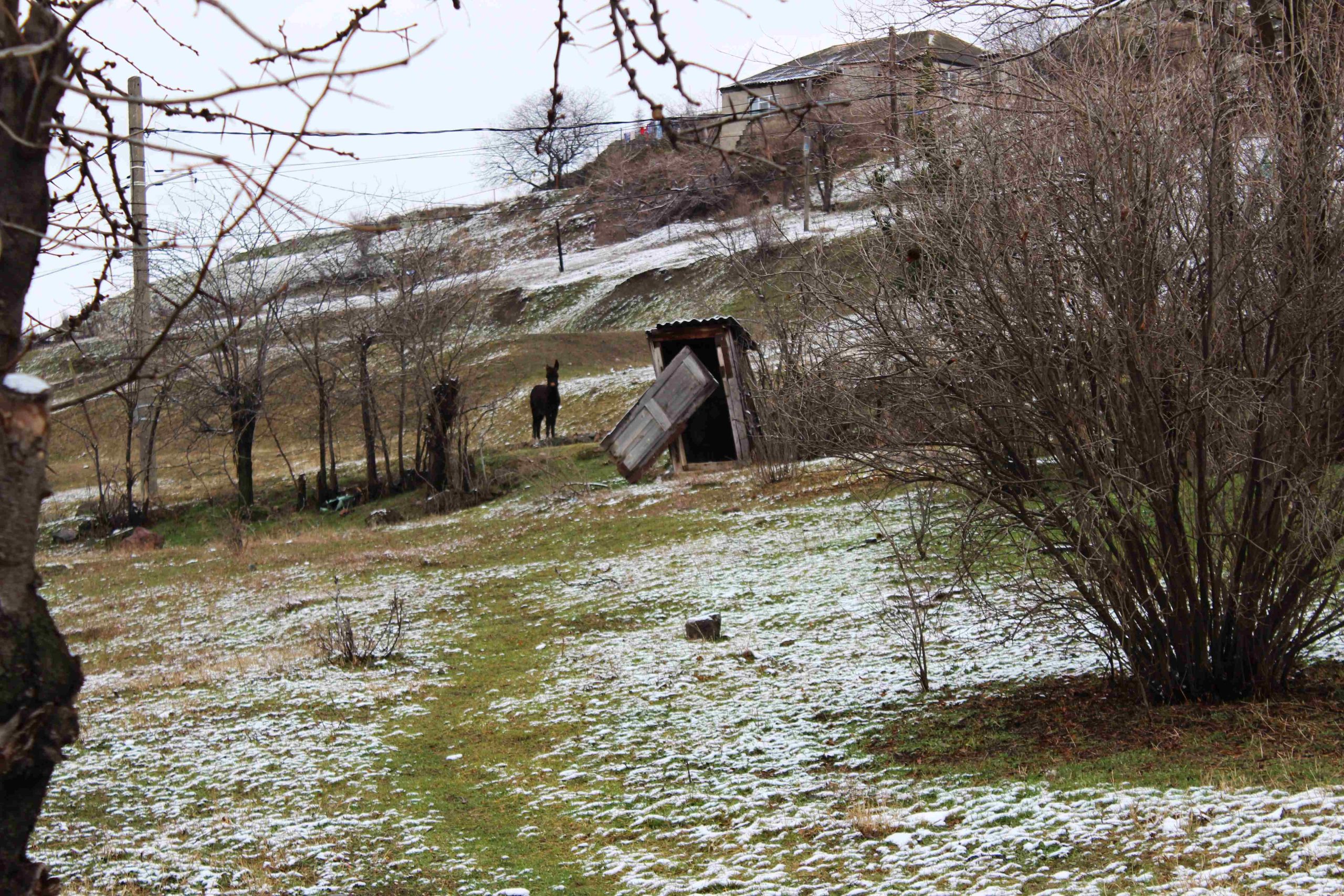 Armenian and Azerbaijani villages in Georgia. Shulaveri village, January 2024. Photo: Nino Narimanishvili/JAMnews.