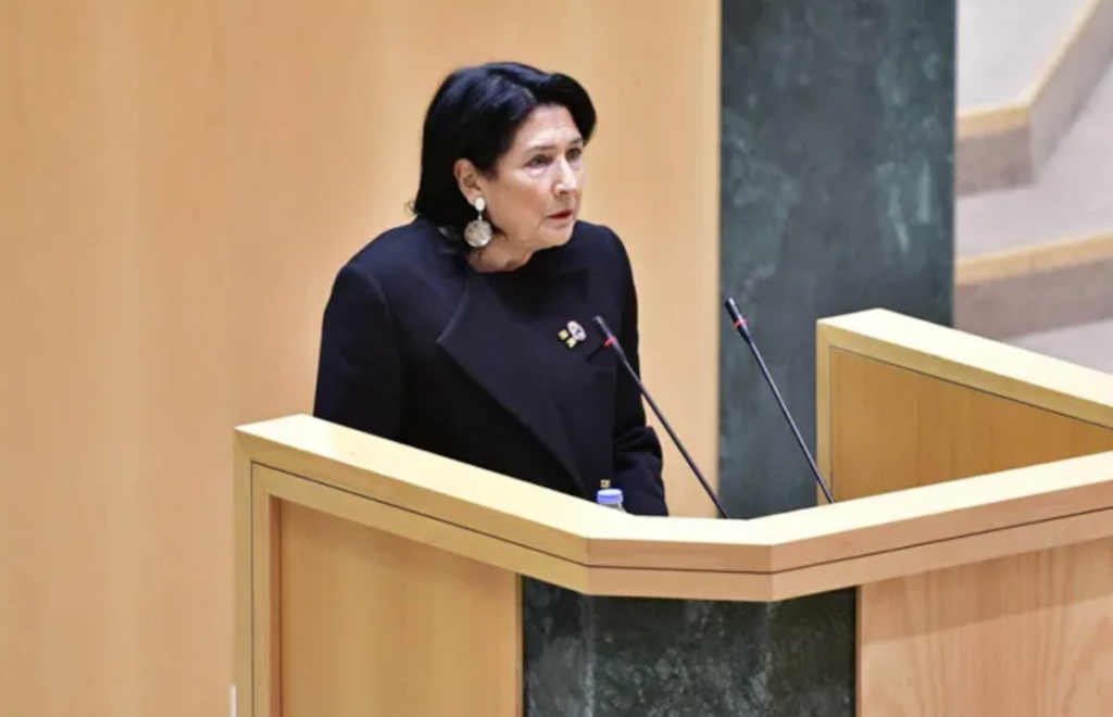 Salome Zurabishvili's speech in Parliament