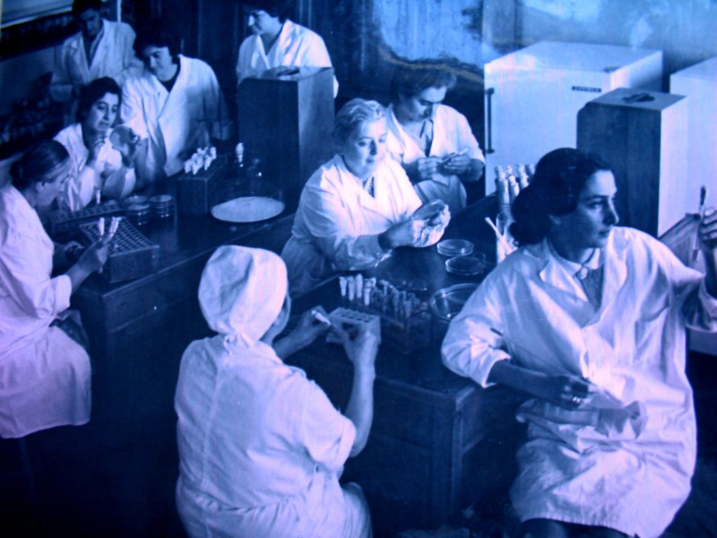 Bacteriophages in Georgia.   The Eliava Institute Laboratory in the 1960s. Photo from the institute's archives.