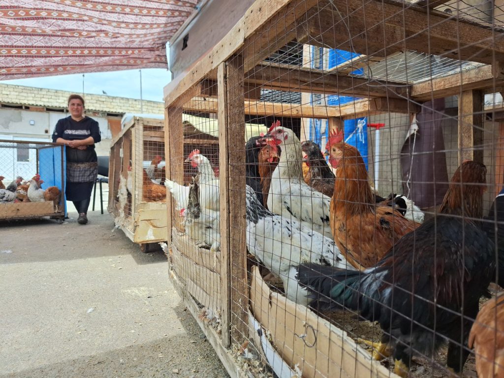 Old market in Baku threatened with demolition: What are workers saying?