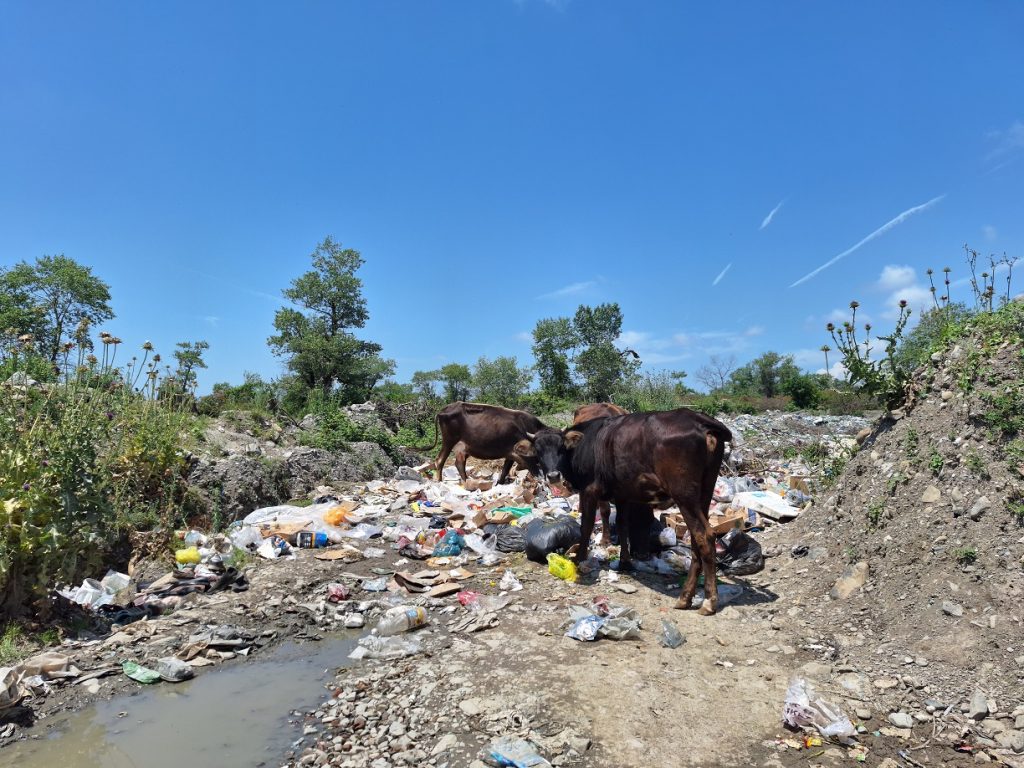 Проблема бытовых отходов в Азербайджане - Вендамчай