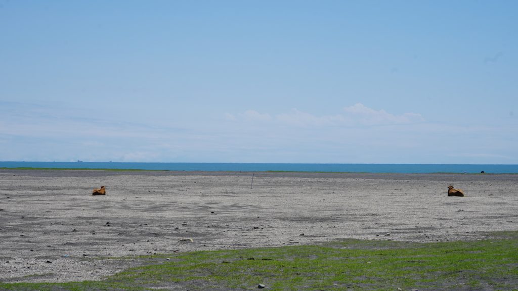 Beach in Anaklia. Photo: David Pipia/JAMnews