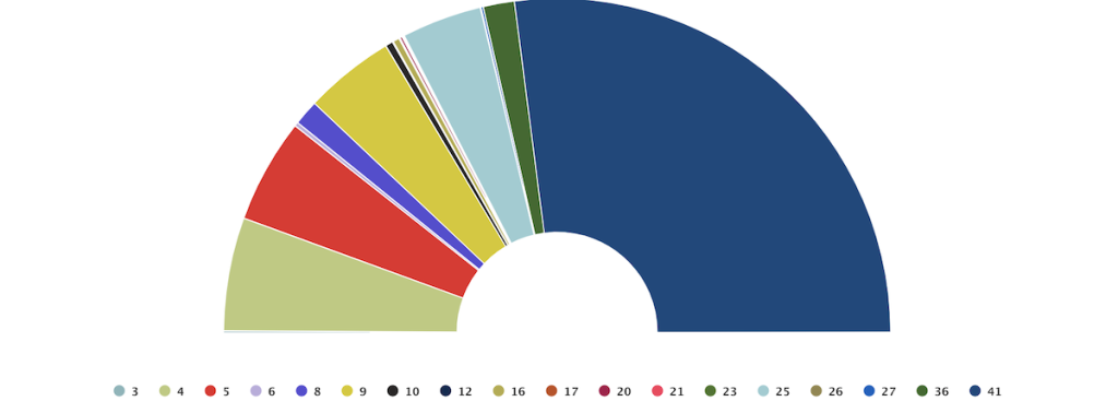 Elections in Georgia: who won, protests