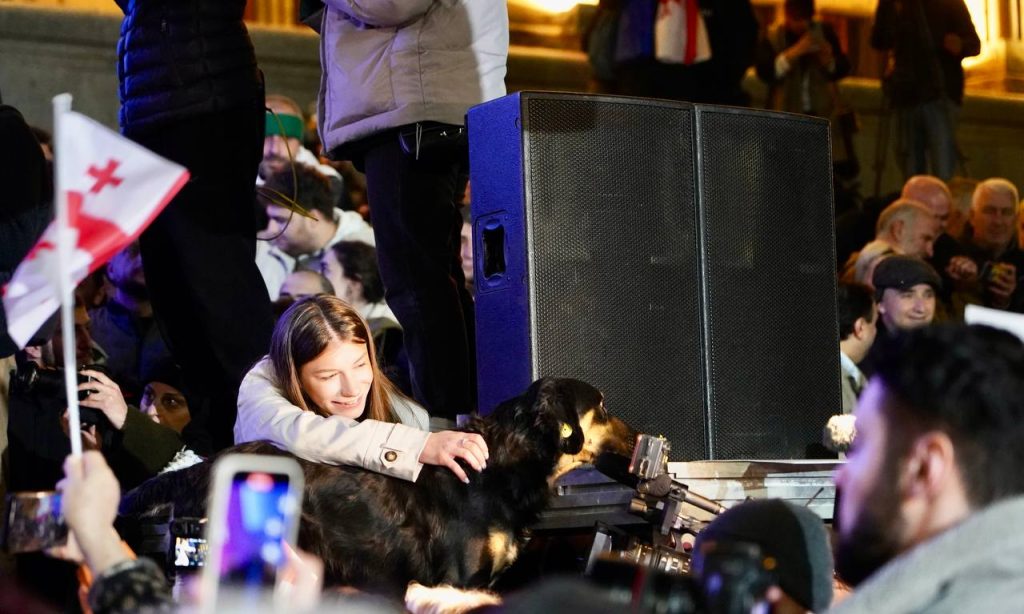 EU lawmakers attend Tbilisi rally amid election dispute