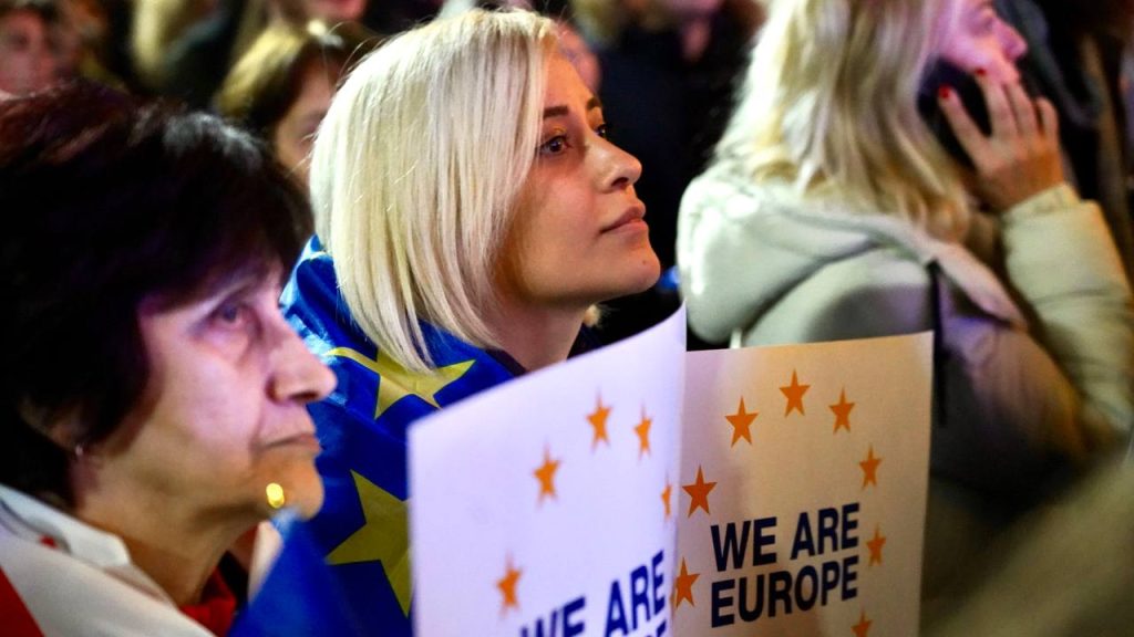 EU lawmakers attend Tbilisi rally amid election dispute