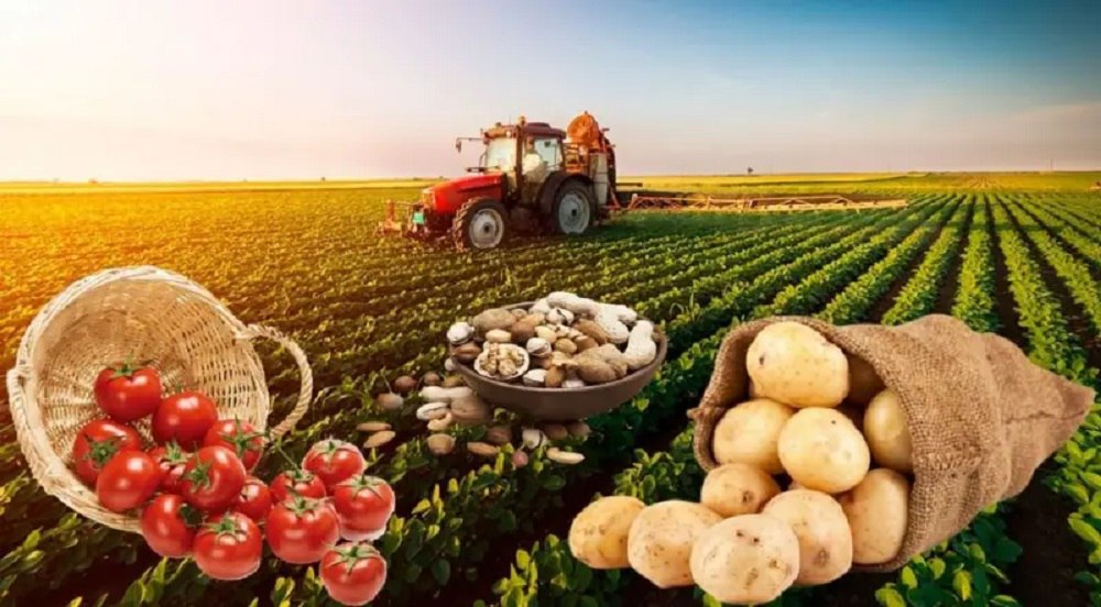 Azerbaijan food import spending rises