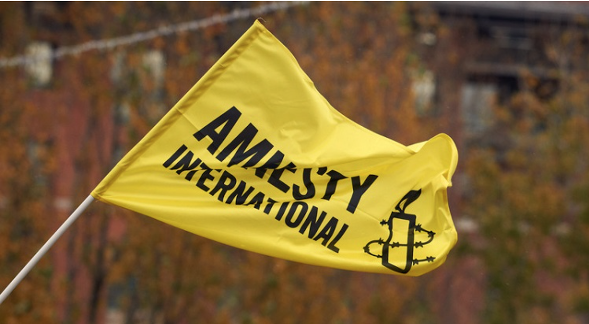 Amnesty International urges Georgia protesters release