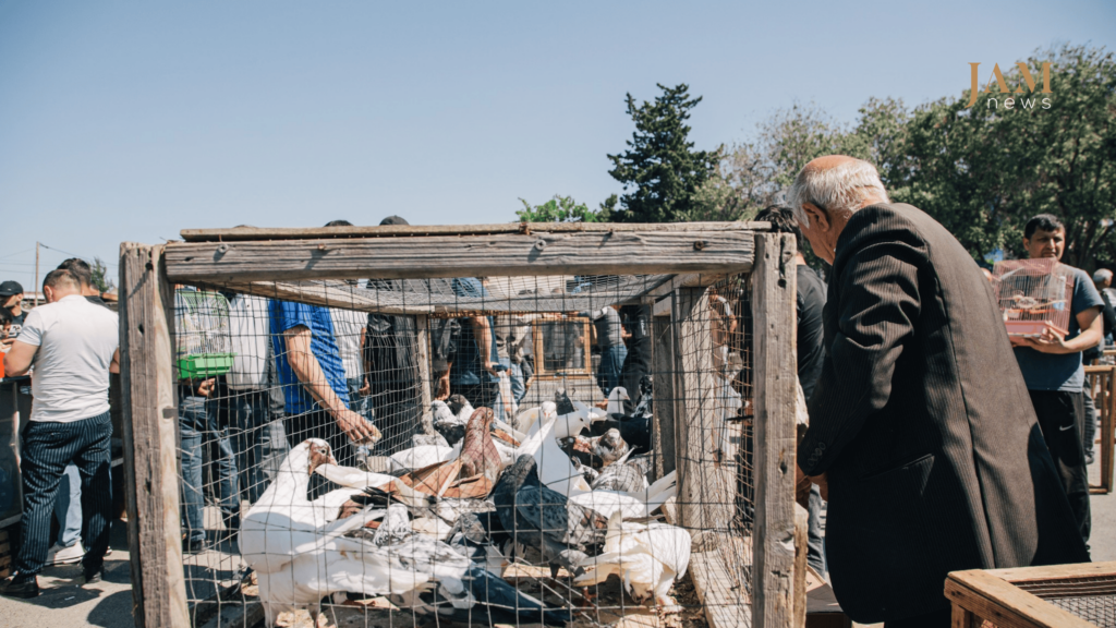 Bazar günləri isə Bakının dörd bir yanından göyərçin saxlayanlar bura toplaşırlar.
sabunçu qəsəbəsindən fotoreportaj