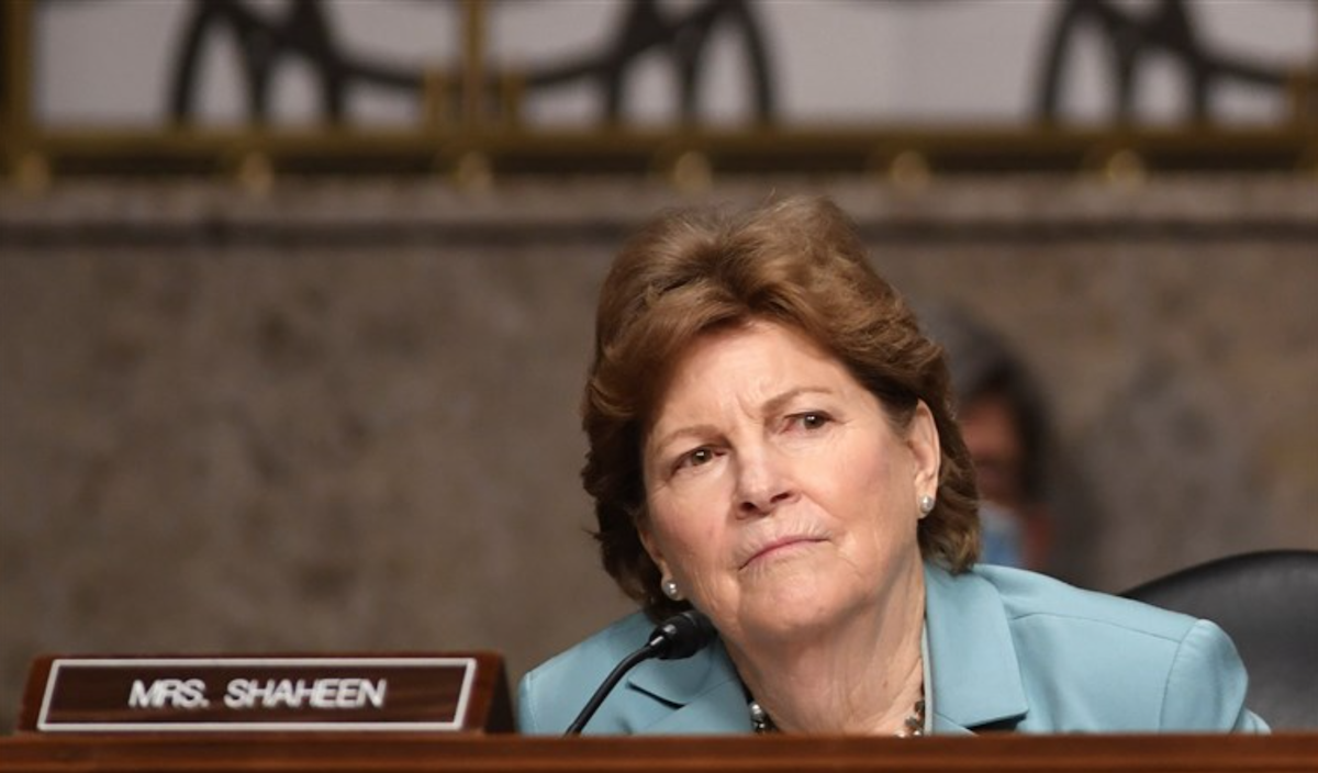 US senator slams Georgian Dream