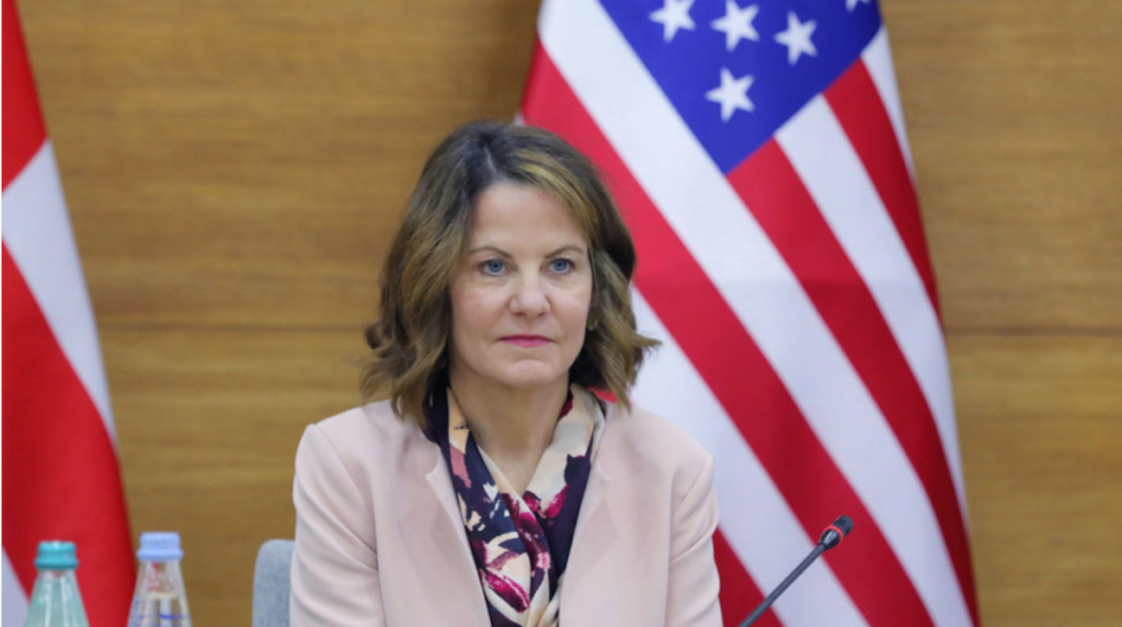 Посол США Робин Данниган об Иванишвили