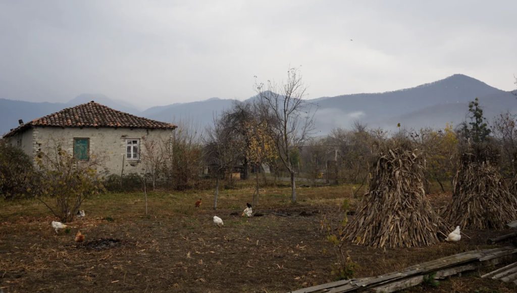 ტურიზმი პანკისში