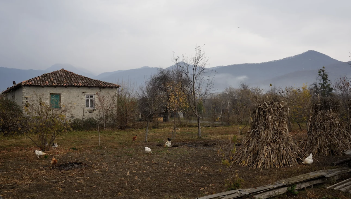 ტურიზმი პანკისში