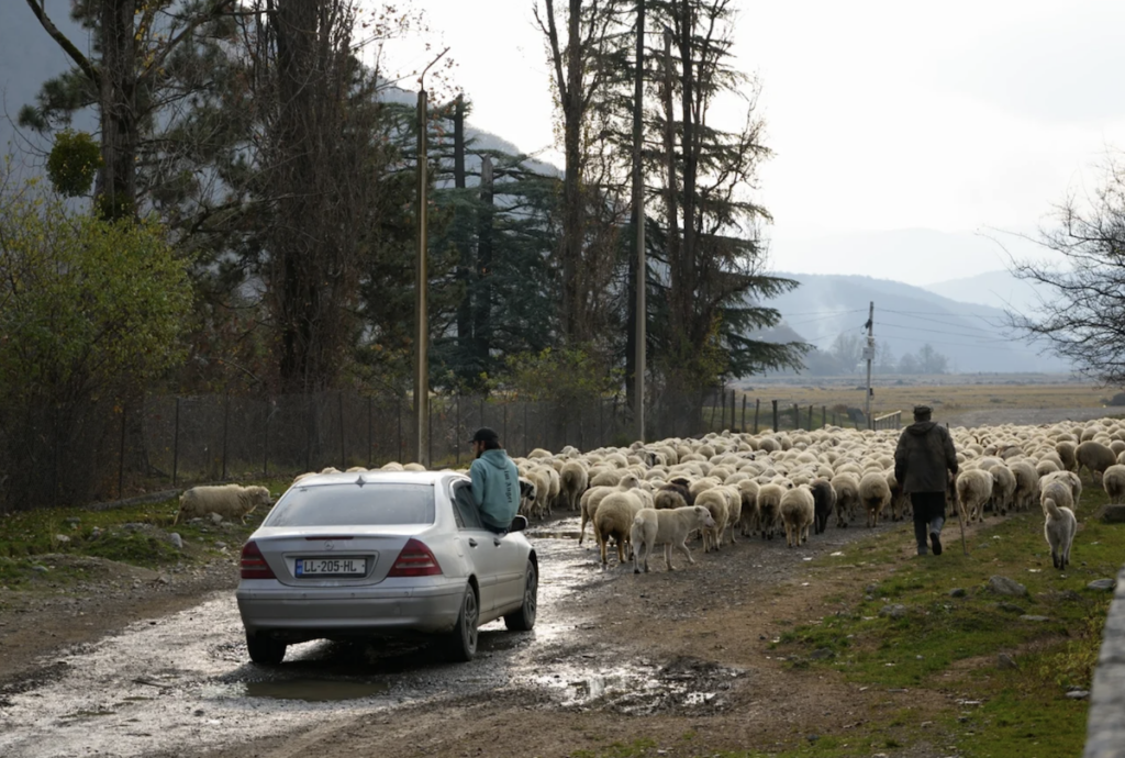 ტურიზმი პანკისში