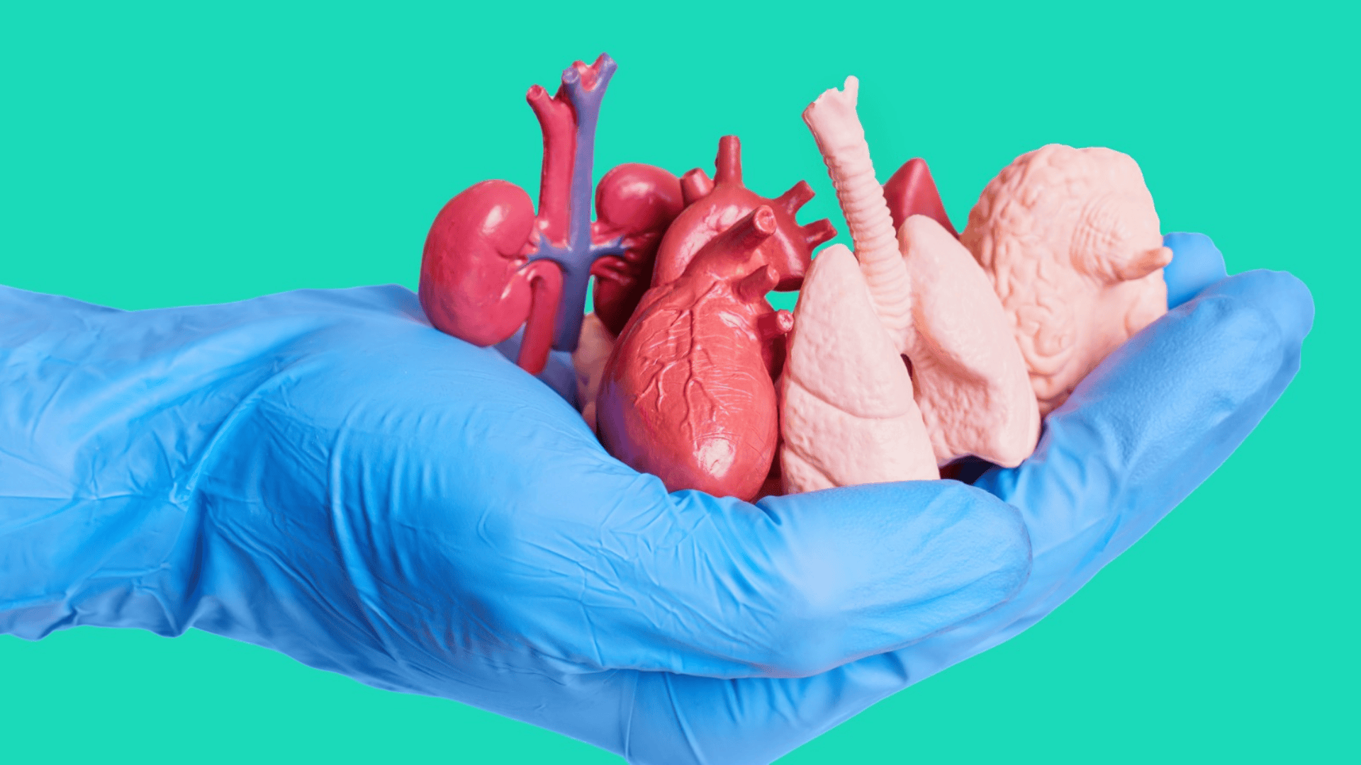 Orqan alverinə qarşı Konvensiya