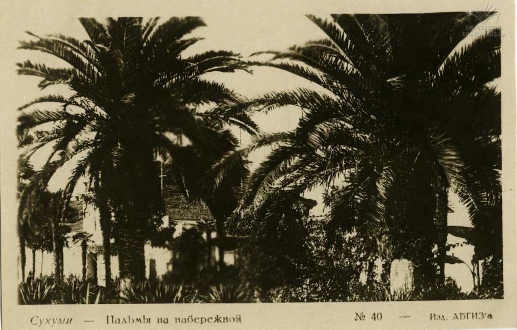 История Абхазии