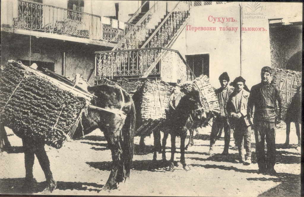 История Абхазии