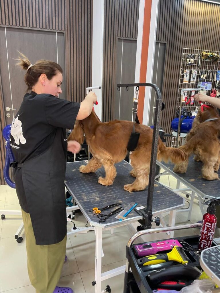 Էլեոնորան՝ նոր աշխատավայրում