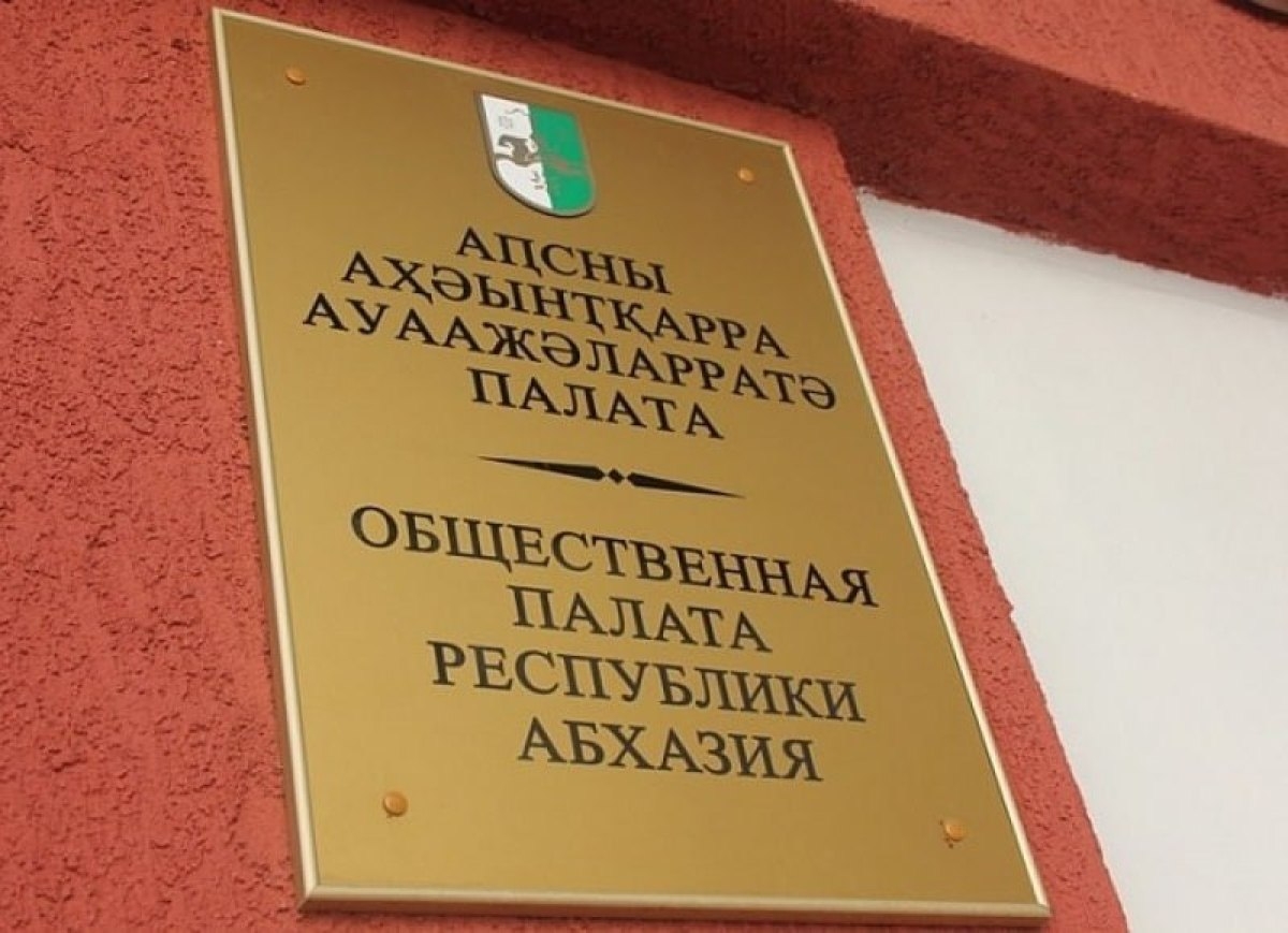 В Общественной палате Абхазии нет оппозиционеров