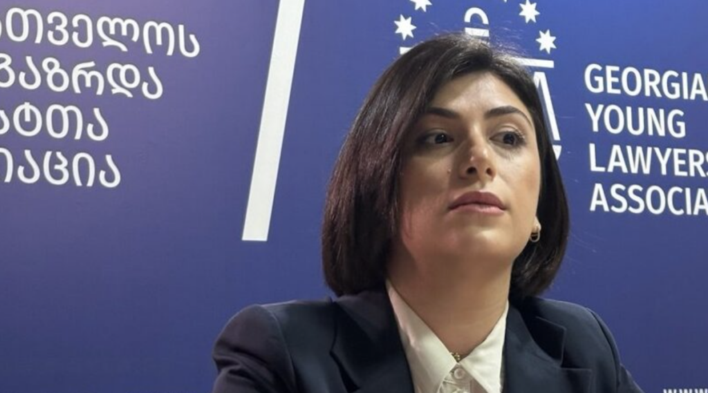 Мнение о полицейском насилии в Гори. Тамар Ониани, Ассоциация молодых юристов Грузии 