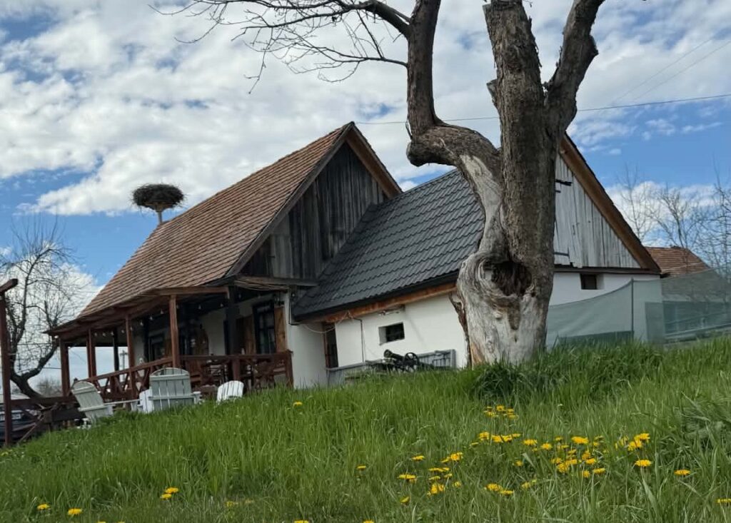 Ալվինայի ծնողների տունը, որը հնարավորություն տվեց բիզնես սկսել