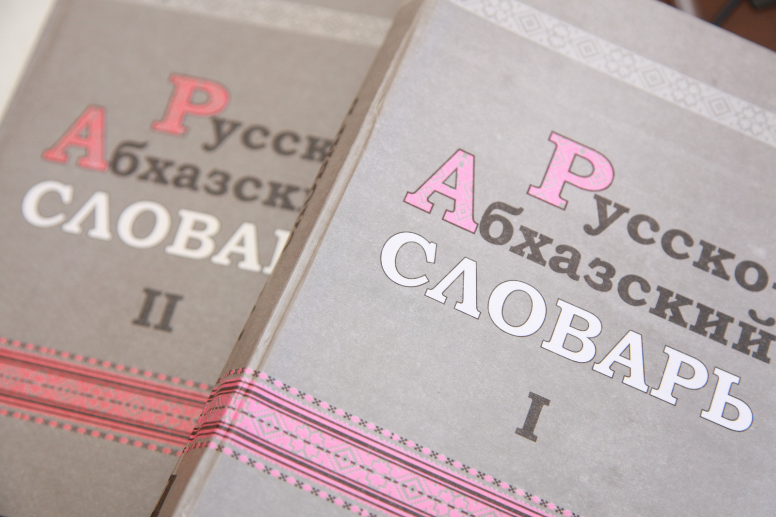 Абхазский язык для депутатов