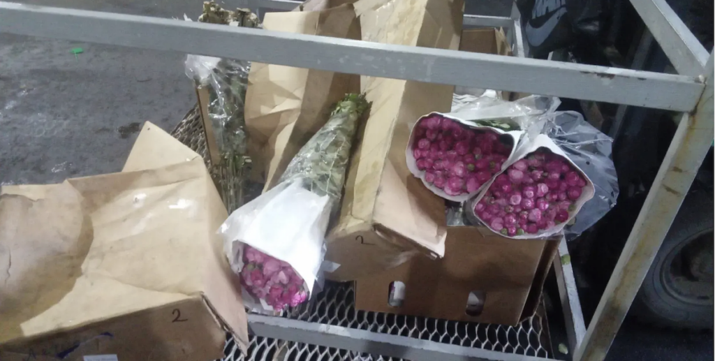 Russia destroys Armenian roses